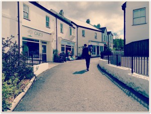 Bluestone Village