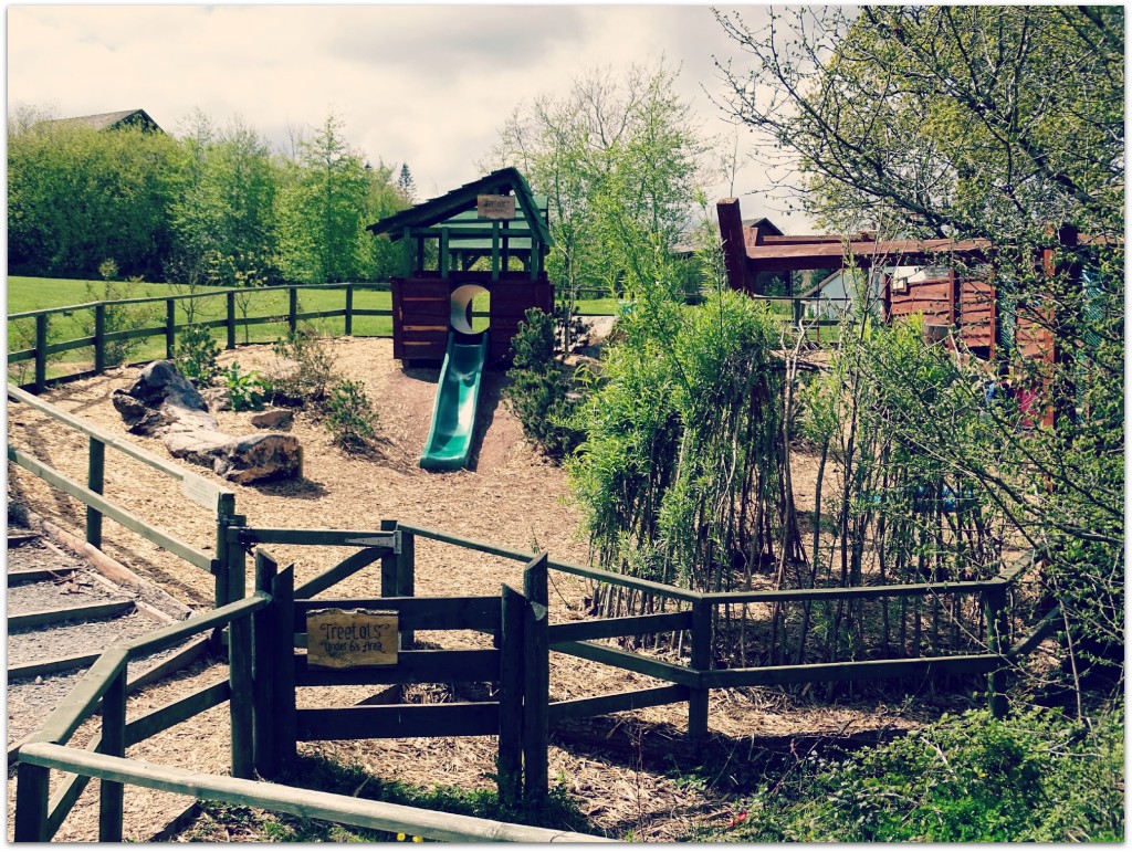 Bluestone Treetop Playground
