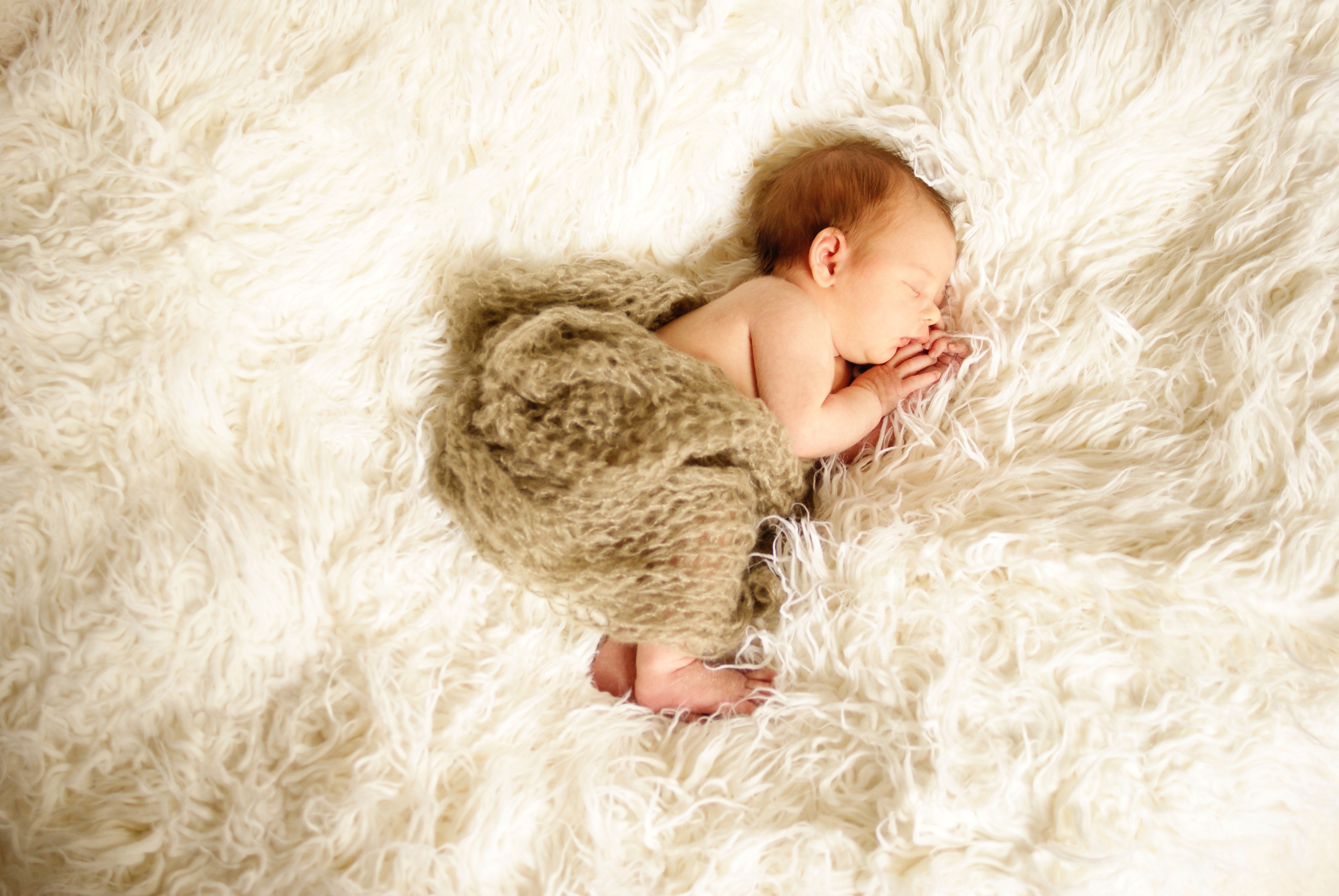 hilliebunnies lamb & bear shoot 2