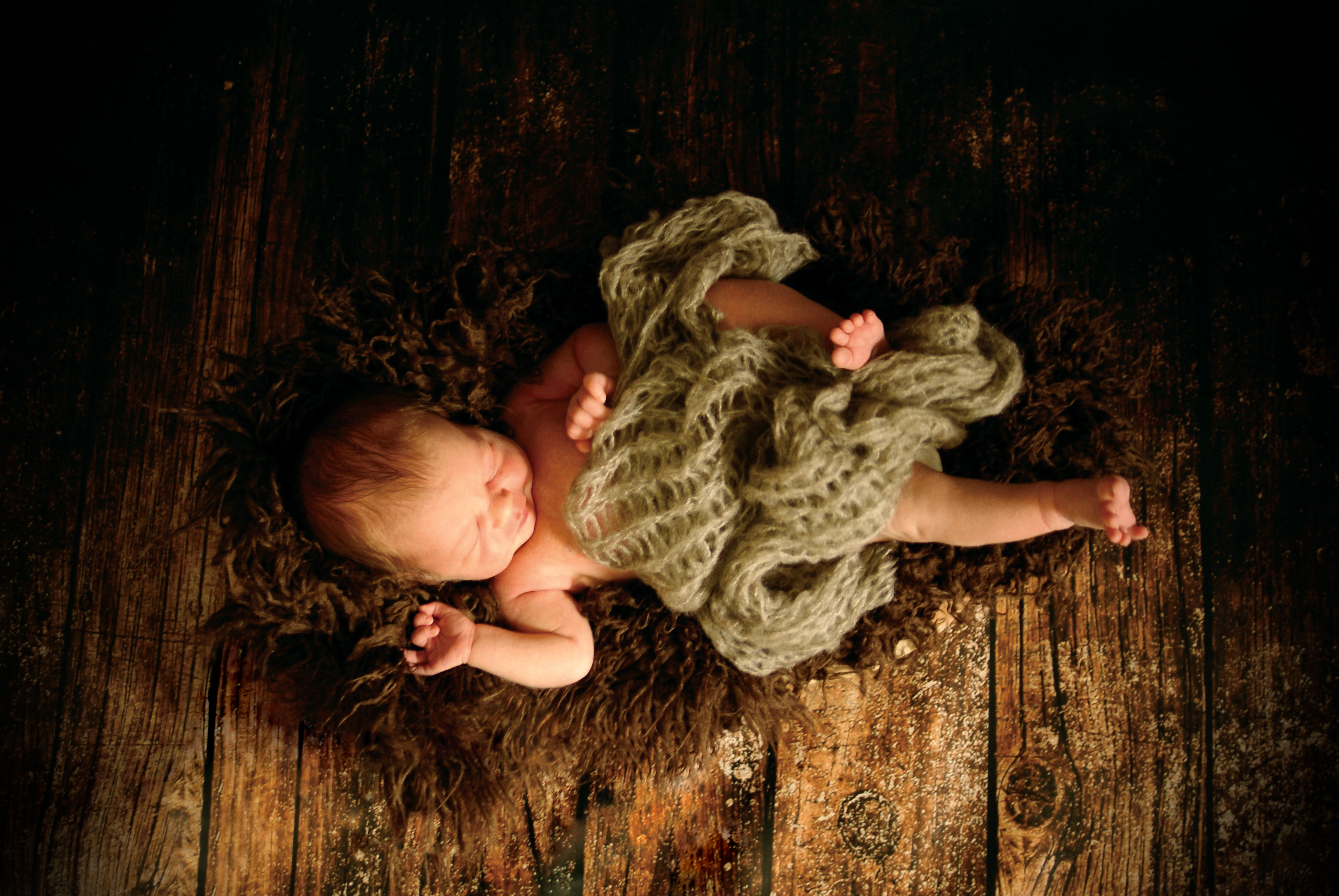 hilliebunnies lamb & bear shoot 3