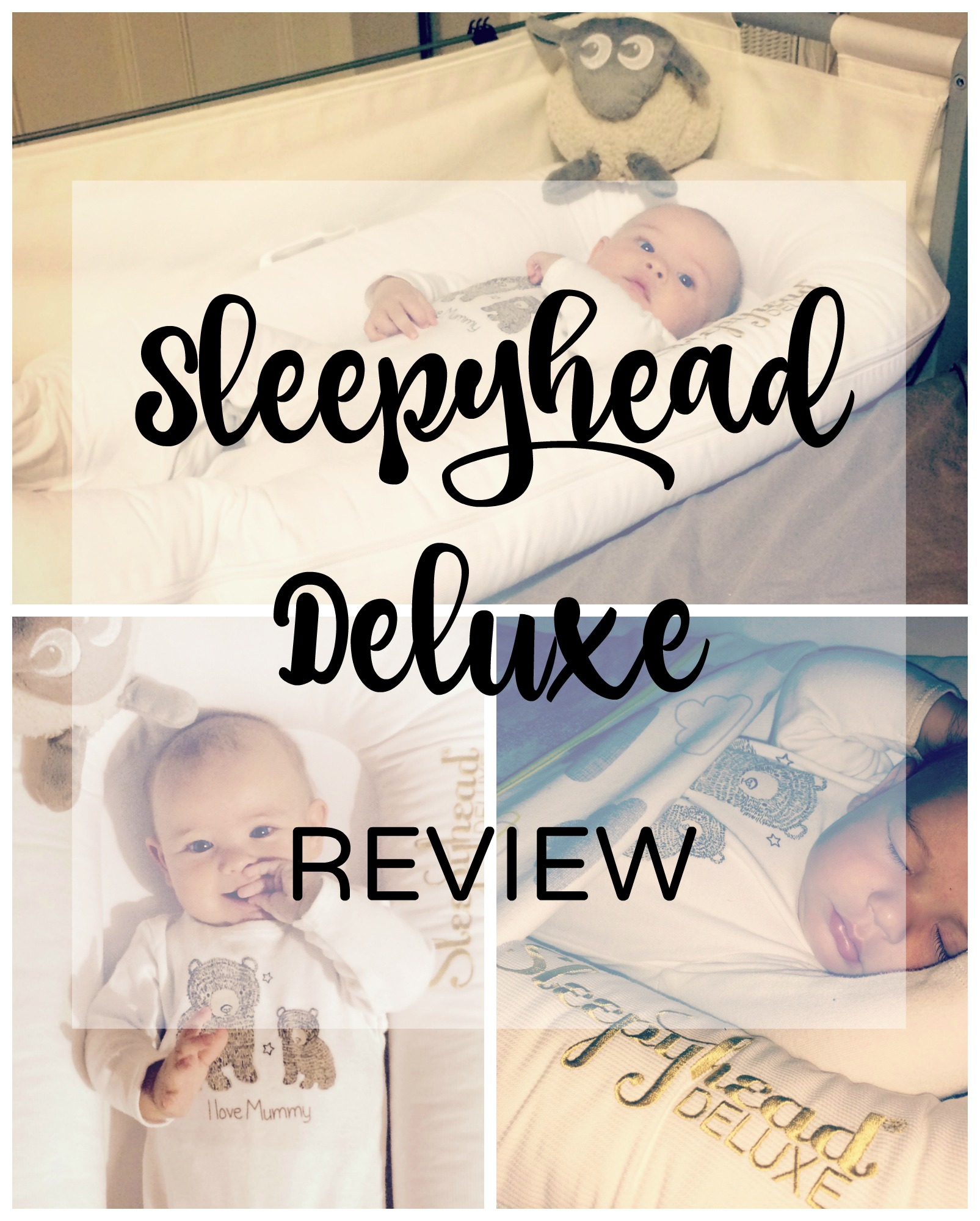 sleepyhead-review-pin
