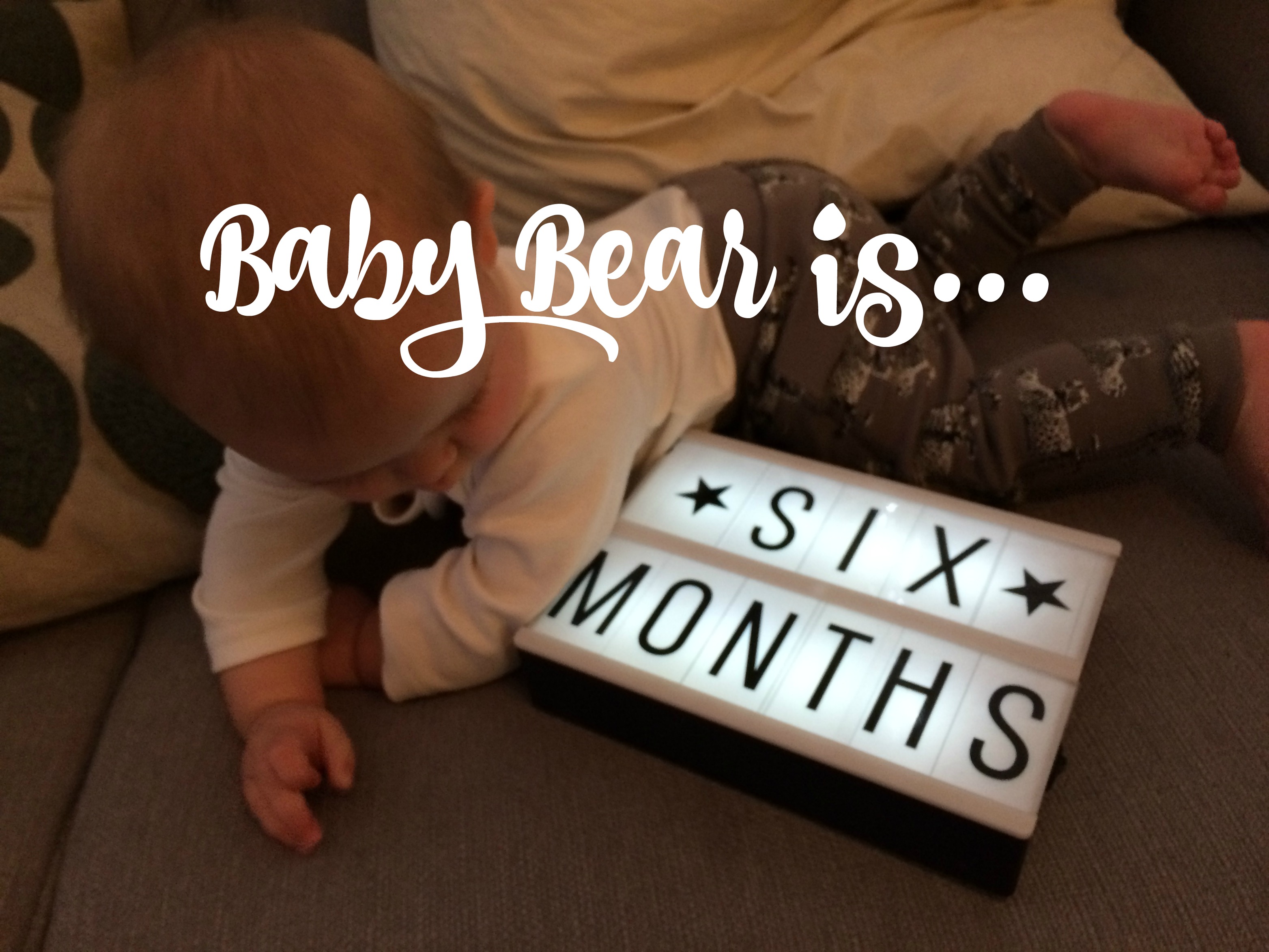 6-months-title