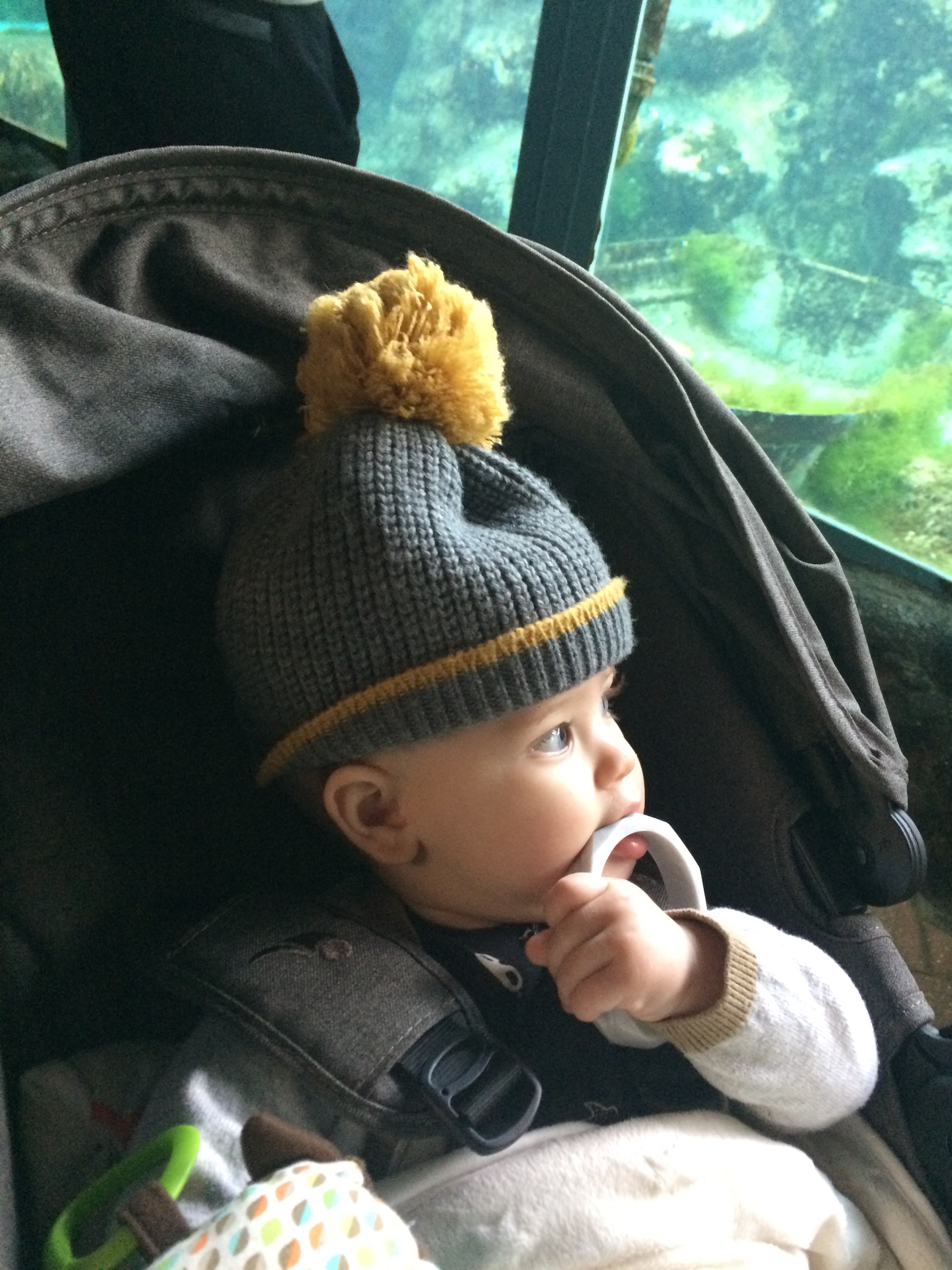 baby bear living arrows