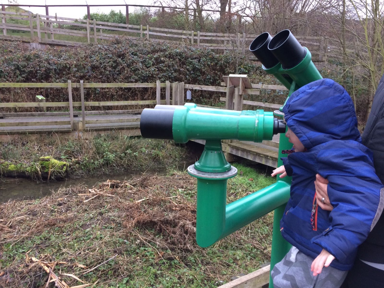 living arrows lamb 2