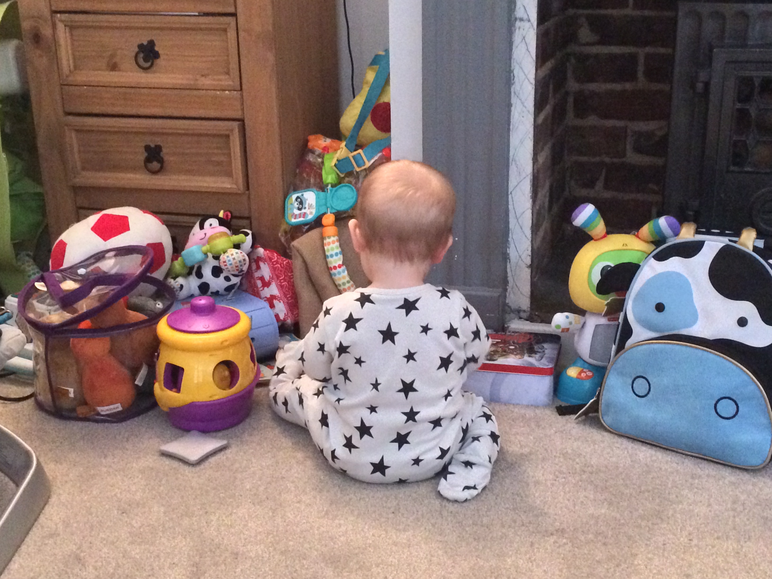 baby bear living arrows 2