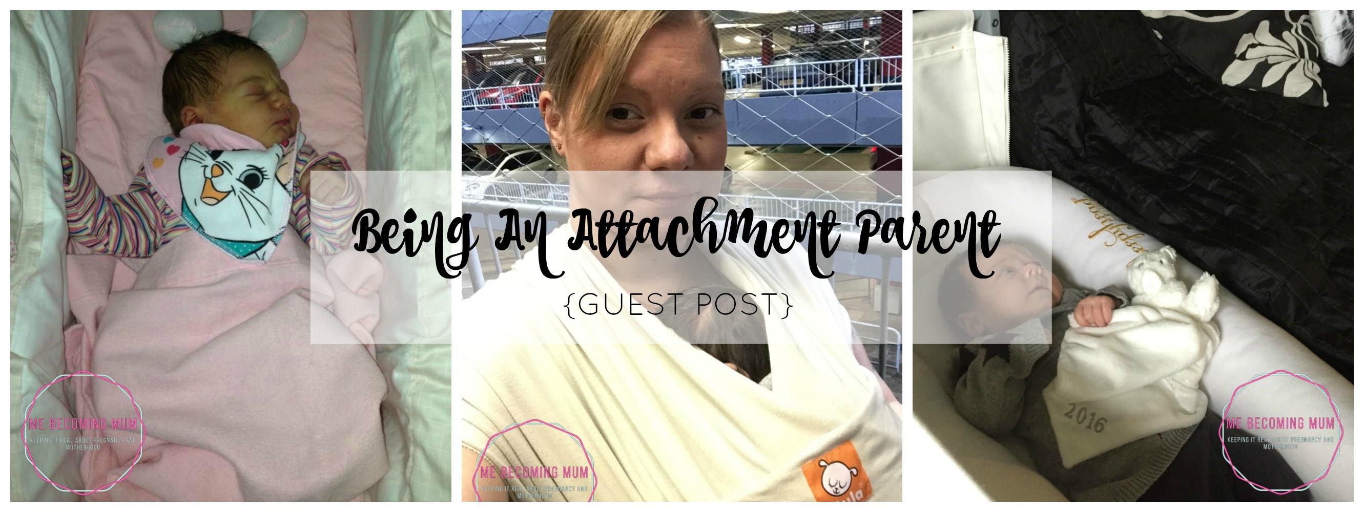 being-an-attachment-parent-title