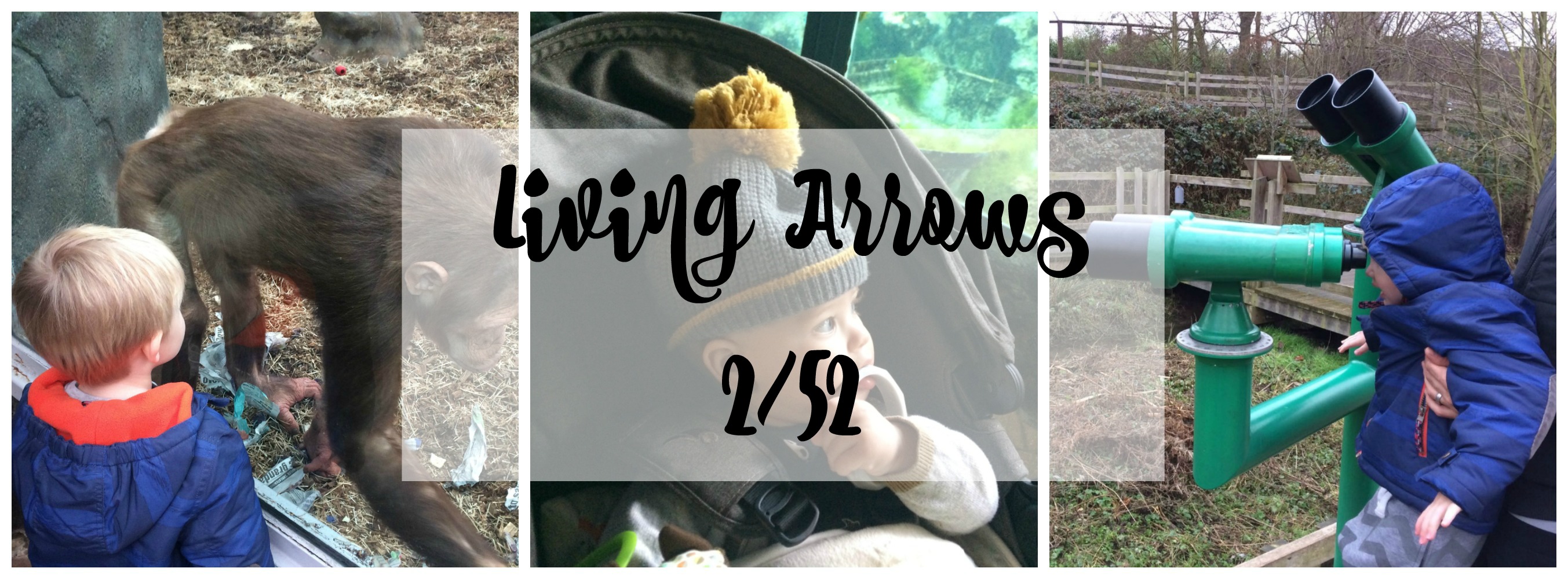 living arrows 2 title