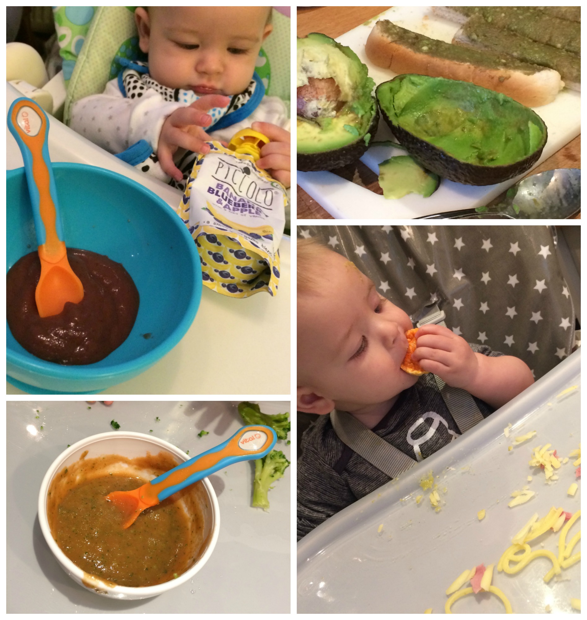 piccolo first tastes