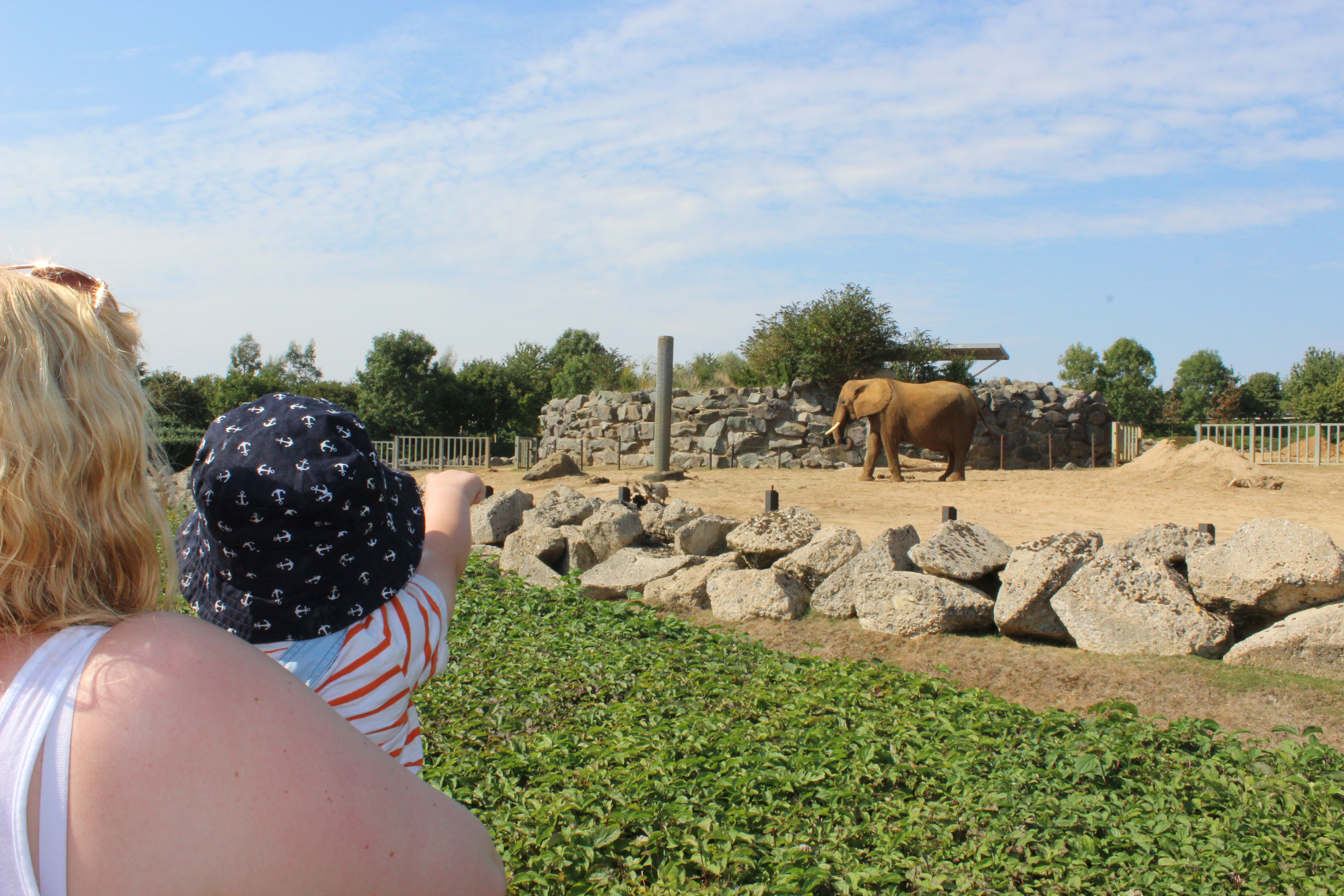 colchester zoo essex