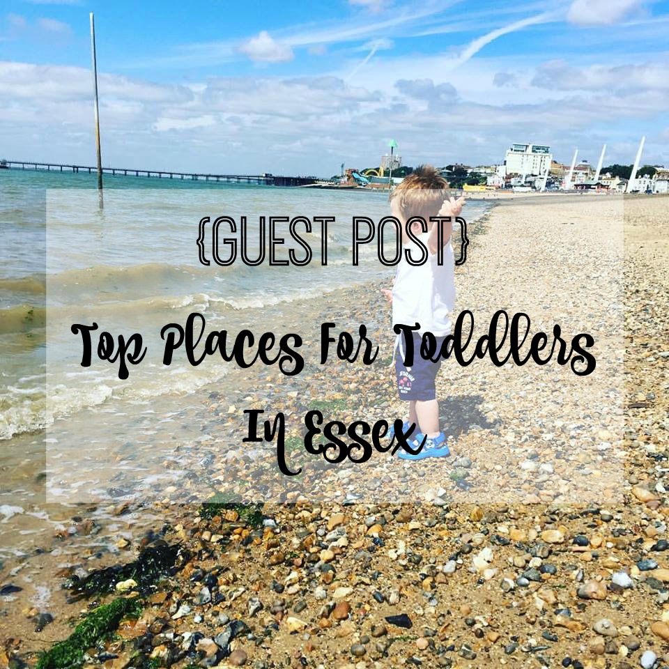 top places in essex for toddlers title