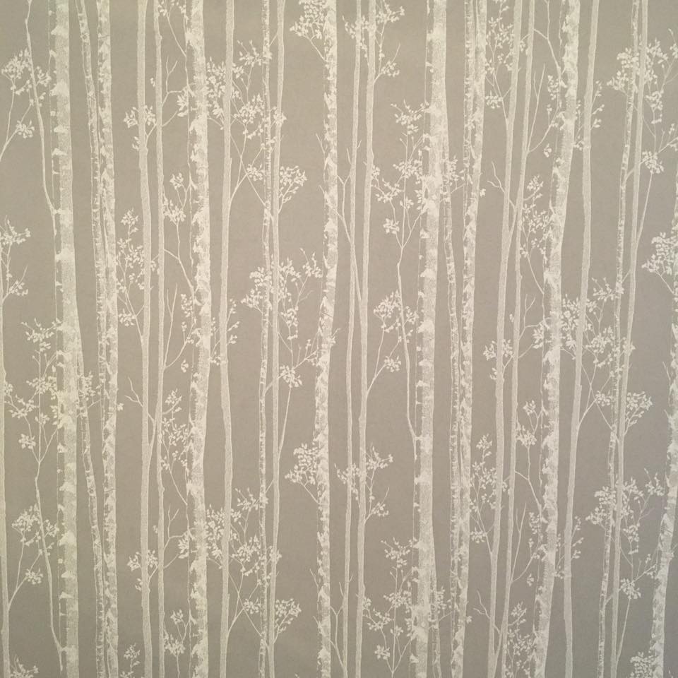 feature wall vines