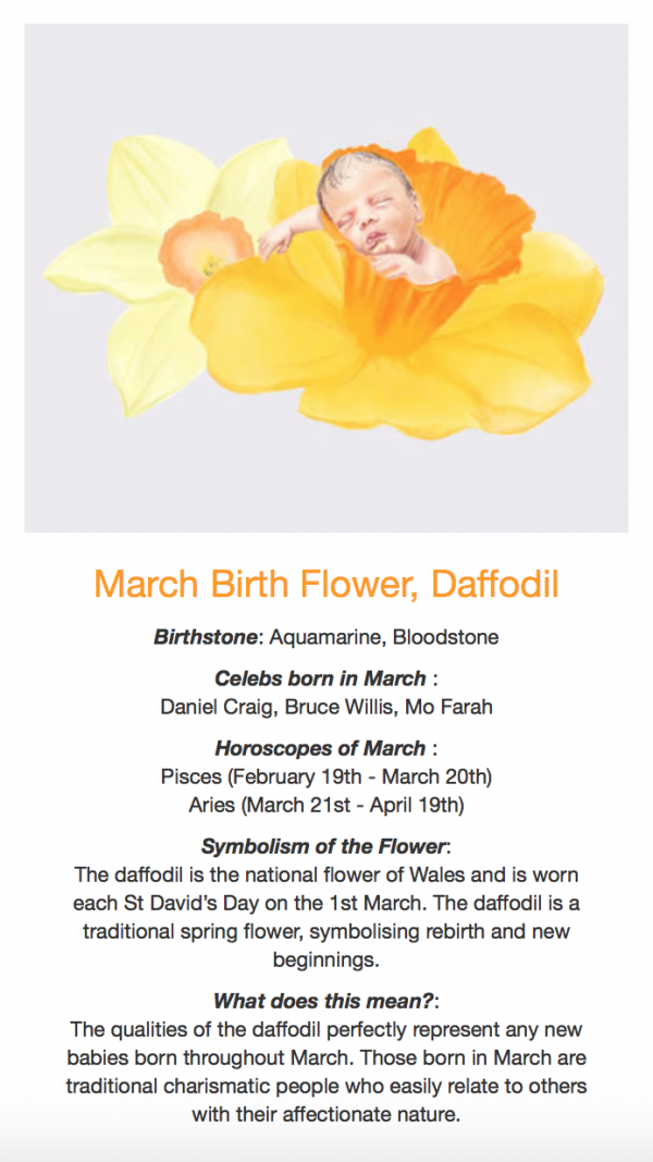 Baby Bloom Horoscope What Does Your Birth Flower Say About You
