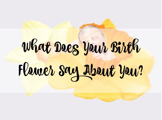 birth flower horoscope title