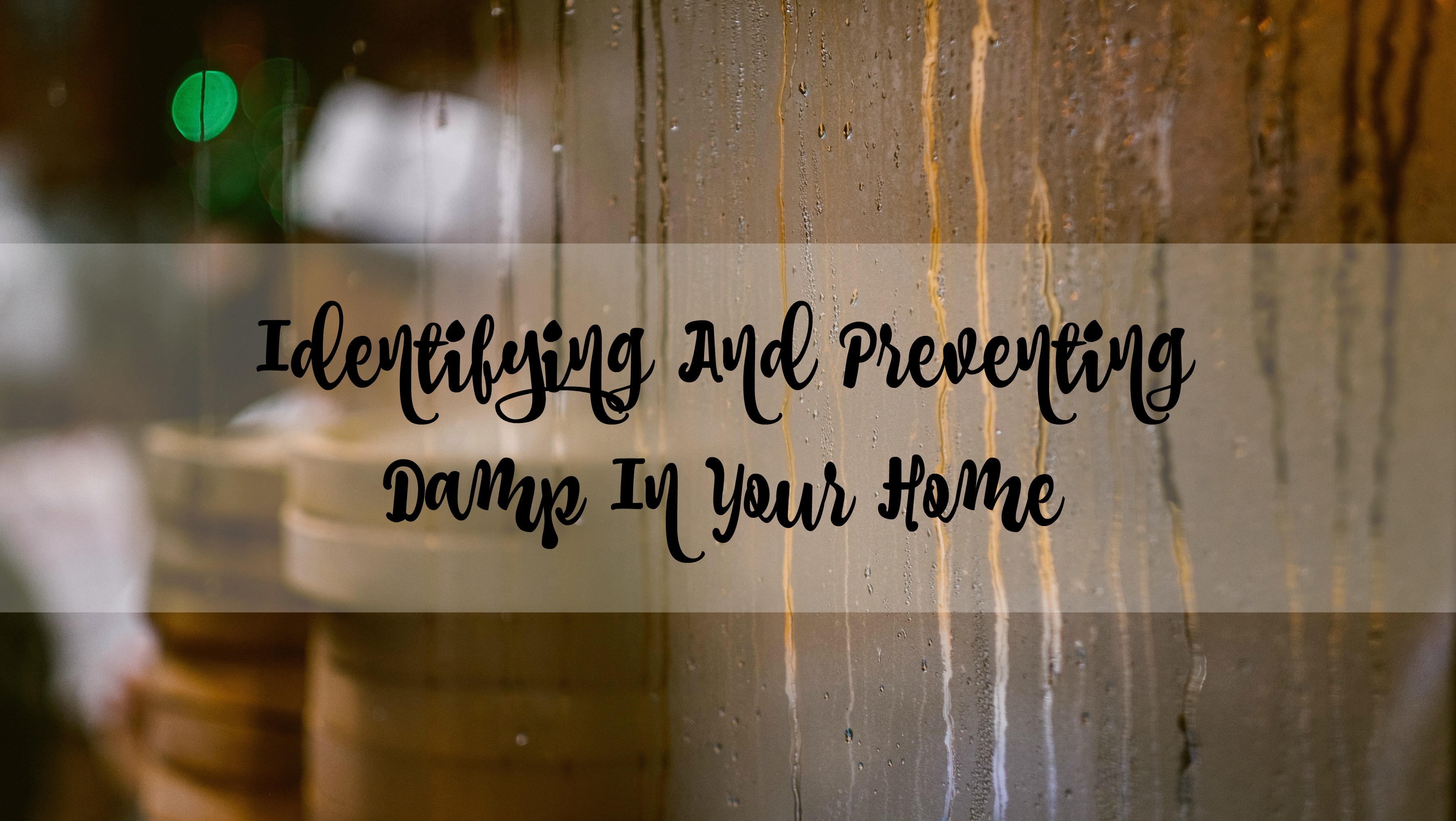 damp home title