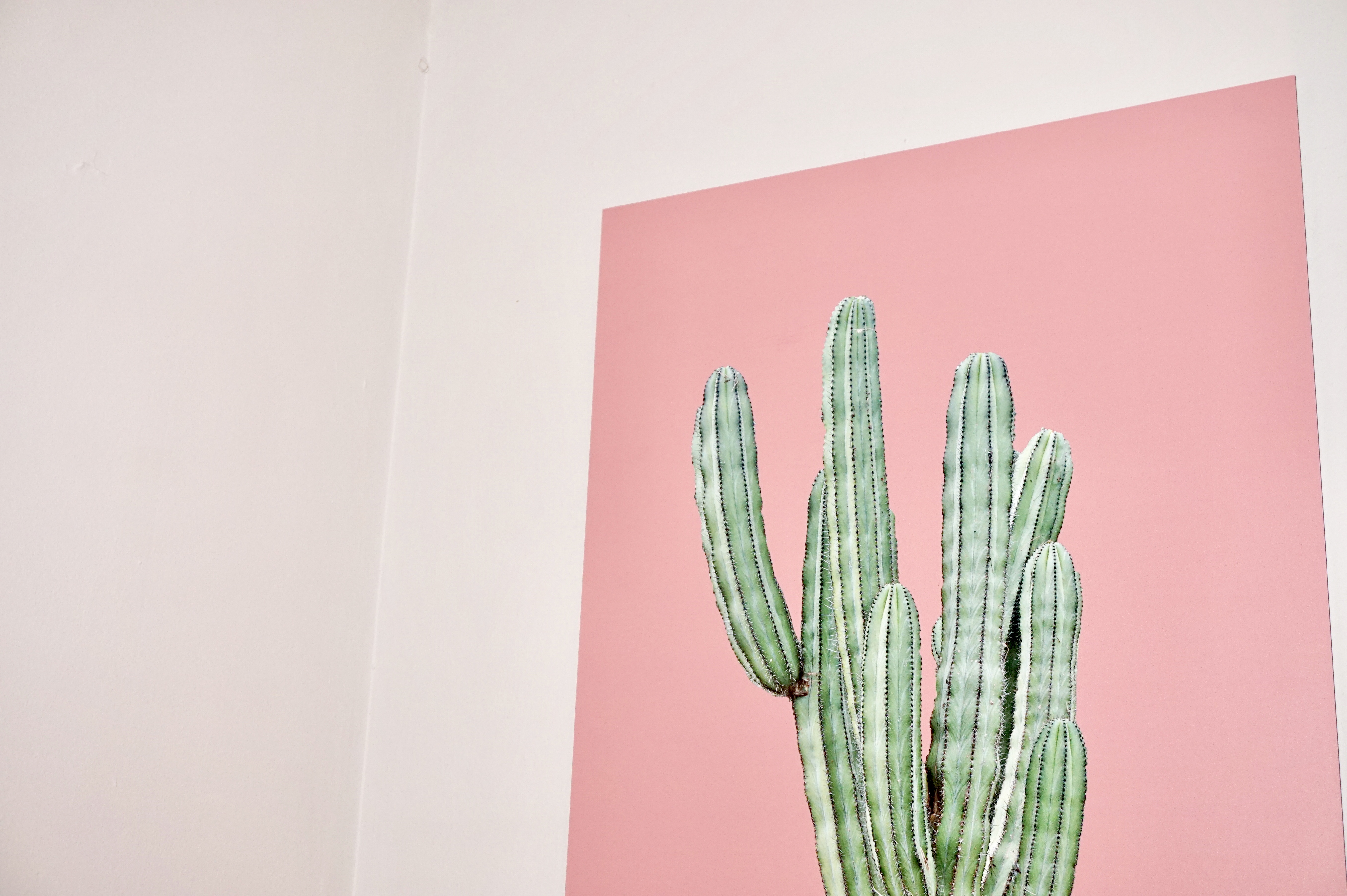 finishing touch with poster lounge